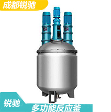 多功能反應(yīng)釜的構(gòu)成結(jié)構(gòu)、參數(shù)技術(shù)典型的主體反應(yīng)設(shè)備設(shè)計(jì)特點(diǎn)-成